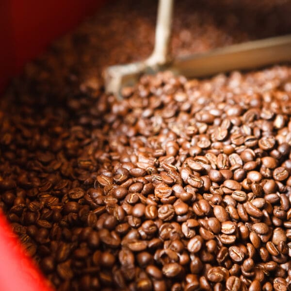 House Blend